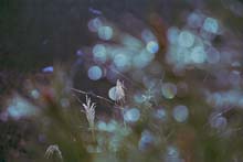 aki012.jpg 540*360 22.7KB