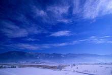 huyu05.jpg 539*360 22.1KB