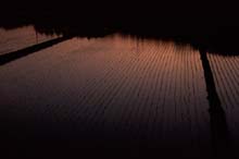 yuu01.jpg 543*360 19.9KB