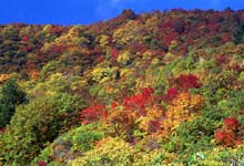 yama2.jpg 527*360 53.4KB